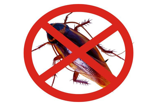 珠海專業(yè)殺蟲(chóng)滅蟑螂公司