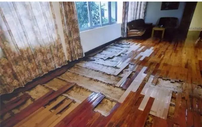 珠海市民眾白蟻防治有限公司,珠海殺蟲(chóng)滅鼠公司,白蟻防治