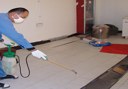 專業(yè)滅鼠公司 專業(yè)滅鼠公司