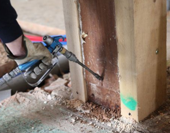 珠海白蟻防治 珠海白蟻防治