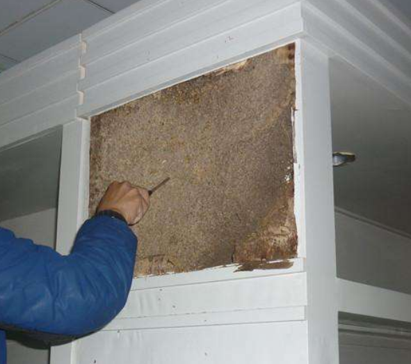 珠海滅白蟻 珠海滅白蟻